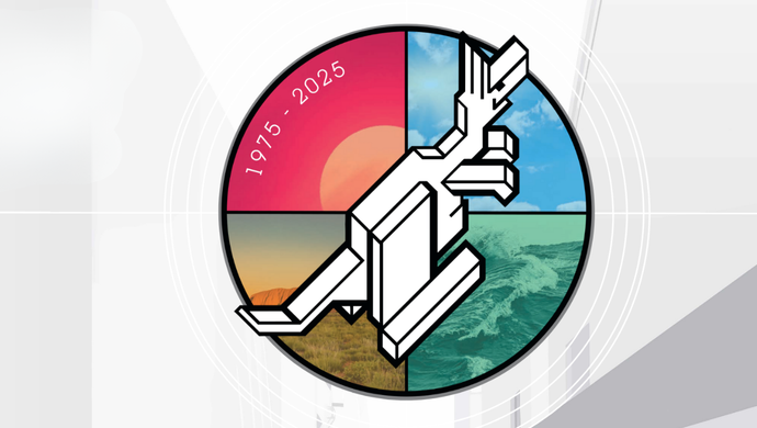 The Australian Pink Floyd Show logo design
